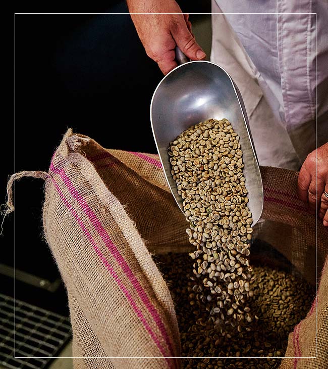 The origins of the Latorre coffee blend